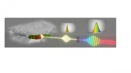 Non-linear optics meets X-rays