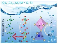 Non-metallic electronic regulation in CuCo oxy-/thio-spinel as OER electrocatalysts