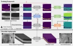 Noninvasive choroidal vessel analysis via deep learning: A new approach to choroidal optical coherence tomography angiography 2