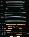 North American Early Paleoindians almost 13,000 years ago used the bones of canids, felids, and hares to create needles in modern-day Wyoming, potentially to make the tailored fur garments which enabl