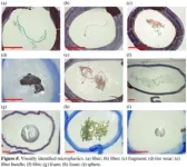 Not such small things: Microplastics in our streams 2