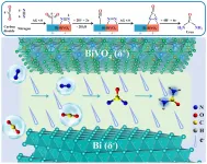 Novel catalysts improve efficiency of urea synthesis at ambient conditions