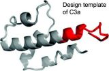 Novel drug candidates offer new route to controlling inflammation