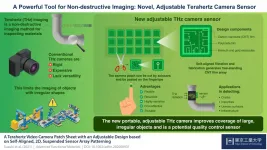 Novel flexible terahertz camera can inspect objects with diverse shapes