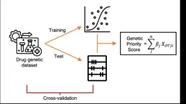 Novel genetic priority score unveiled to enhance target prioritization in drug development