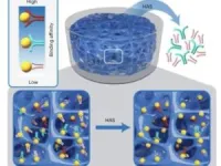 Novel hydrogel finds new aptamers, or ‘chemical antibodies,’ in days 2