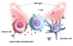 Novel liquid metal nanoparticles for cancer photoimmunotherapy