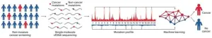 Novel machine learning blood test detects cancers with genome-wide mutations in single molecules of cell-free DNA