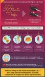 Novel macrolide–DEL-1 axis drives bone regeneration in aging individuals 2