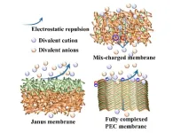 Novel mix-charged nanofiltration membrane developed for high-salinity wastewater treatment