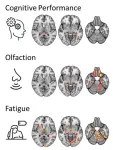 Novel MRI reveals brain changes in long-COVID patients