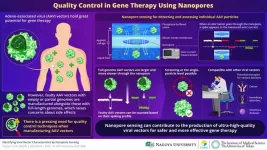 Novel nanosensing technique for quality control of viral vectors in gene therapy