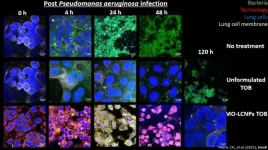 Novel nanotech improves cystic fibrosis antibiotic by 100,000-fold