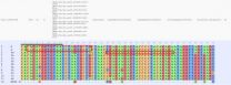 Novel online bioinformatics tool significantly reduces time of multiple genome analysis