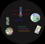 Novel pharmacological strategies to treat alcoholism. Focus on epigenetics