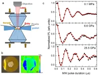 Novel quantum detection method developed to solve the problem of in-situ sensitive magnetic measurement under high pressure