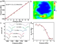 Novel quantum detection method developed to solve the problem of in-situ sensitive magnetic measurement under high pressure 2