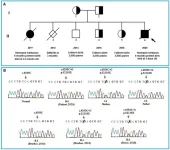 Novel rare skin mutation gene identified by whole exome sequencing - BGI Case Report