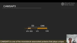 Novel rare skin mutation gene identified by whole exome sequencing - BGI Case Report 3