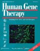 Novel reference material to standardize gene therapy applications