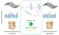 Novel targeted modification strategy improves selectivity of polyamide nanofiltration membranes