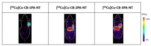 Novel theranostic agent targets multiple cancer types