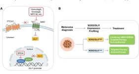 Novel therapeutic strategy against melanoma: combined targeting of hedgehog signaling and BRD4