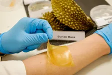 NTU Singapore scientists develop antibacterial gel bandage using durian husk