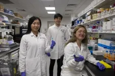 NTU Singapore study investigates link between  COVID-19 and risk of blood clot formation