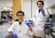 NTUsg researchers develop flexible piezoelectric crystal