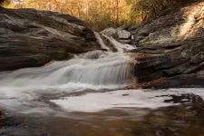 Nuances of the forest-water connection