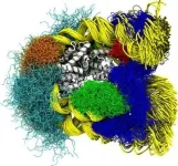 Nucleosome breathing from atomistic time snapshots