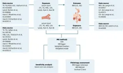 Null causal  relationship between inflammatory bowel disease and lipid profile