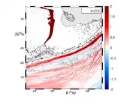 Numerical study first to reveal origin of motion of the ocean in the straits of Florida