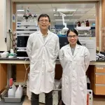 NUS Medicine study: Inability of cells to recycle fats can spell disease 2