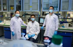 NUS researchers harness AI to identify cancer cells by their acidity