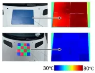 NUS study: A patchwork of Wnt signalling ligands and receptors pattern the colours on the wings of butterflies 3