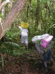 Nutrient enrichment: an emerging threat to tropical forests 2