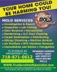 NYC Mold Removal Companies Keeping Busy From Hurricane Sandy Flood Damage