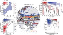 Observations indicate strengthening of tropical Pacific western boundary currents for six decades