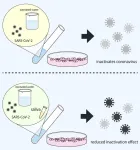 Observing ozonated water’s effectiveness against SARS-CoV-2 in saliva