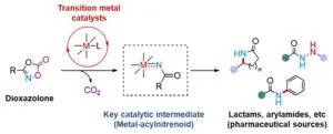 Observing the long-postulated intermediate of catalytic amination reactions 2