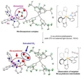 Observing the long-postulated intermediate of catalytic amination reactions 3