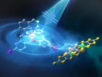 Observing ultrafast photoinduced dynamics in a halogen-bonded supramolecular system