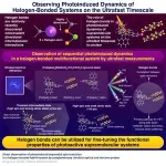 Observing ultrafast photoinduced dynamics in a halogen-bonded supramolecular system 2