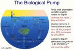 Ocean food web is key in the global carbon cycle 2