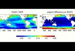 Ocean food web is key in the global carbon cycle 3