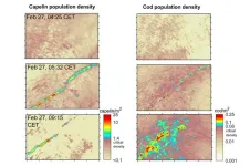 Oceanographers record the largest predation event ever observed in the ocean