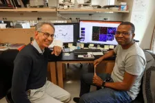 OHSU scientists discover new cause of Alzheimer’s, vascular dementia