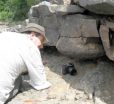 Oldest fossilized forest revealed